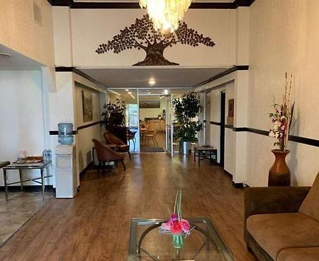 King'S Inn Torrington Luaran gambar